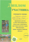 Диплом участника в областном спортивном фестивале 2014 г